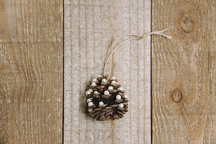 Day 20: How to Make a Pine Cone Christmas Tree Ornament | The 30 Days of Ornaments Project