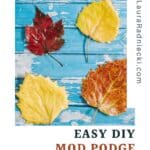 How to Preserve Fall Leaves with Mod Podge