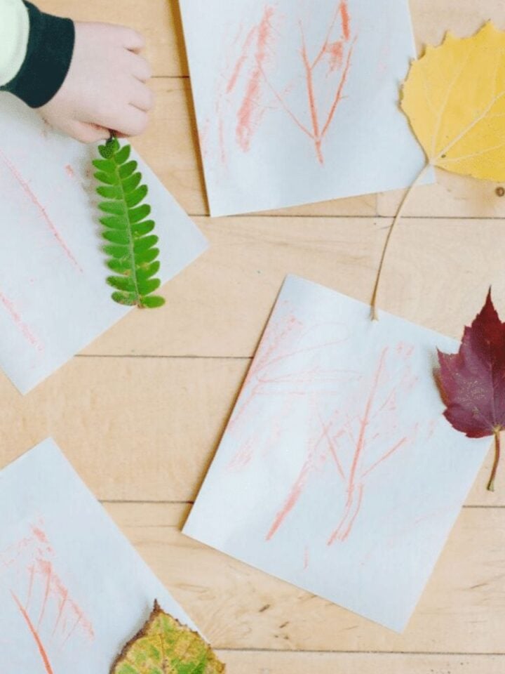 Leaf Monster Craft for Kids | Easy DIY Leaf Puppets