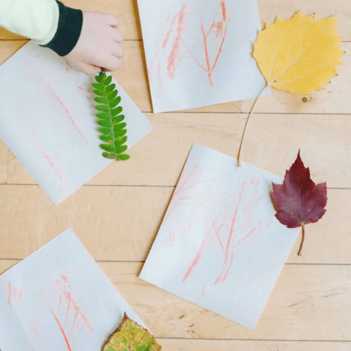 Easy leaf rubbing craft for kids.
