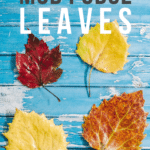 How to Make DIY Mod Podge Leaves to Preserve for Fall Crafts