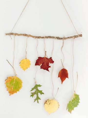 How to Make a DIY Leaf Wall Hanging with Autumn Leaves for Fall Decor