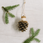 Day 10: How to Make a Pine Cone Ornament | The 30 Days of Ornaments Project