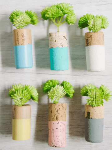 How to Make DIY Wine Cork Planter Magnets