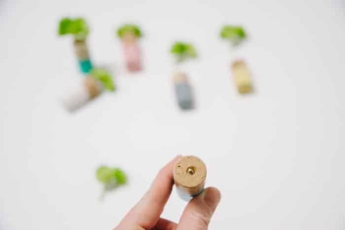 How to make DIY wine cork planter magnets
