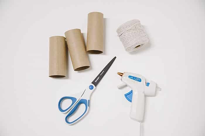 supplies needed to make a diy tassel garland made out of empty toilet paper rolls