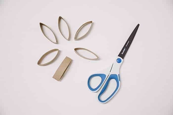 Scissors and cut sections of a cardboard toilet paper tube.