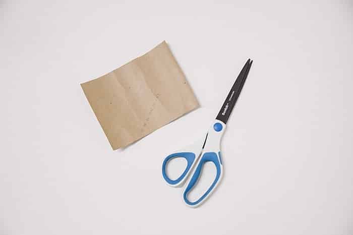 Scissors and a cardboard rectangle.