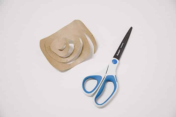 Cardboard rectangle cut into a spiral.