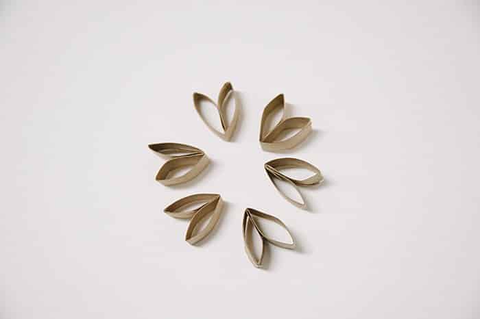 Cardboard flower petals.