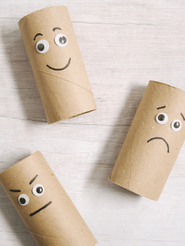 DIY Toilet Paper Roll Emotion Buddies _ Feelings Activities for Kids
