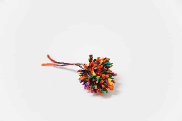 diy rainbow pom pom