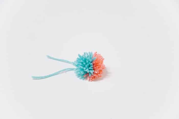 two colored pom pom