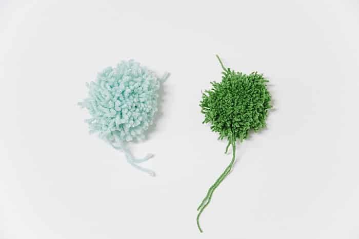 Two yarn pom poms before they have been trimmed into round balls.