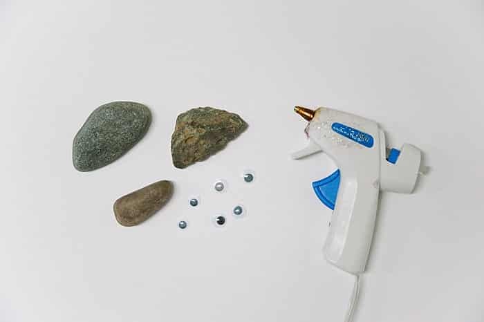 supplies to make pet rocks for kids