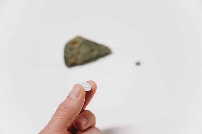 hot glue google eye onto rock to make pet rocks