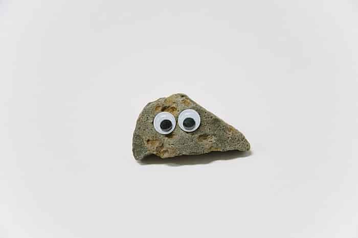 make pet rocks with googly eyes and hot glue