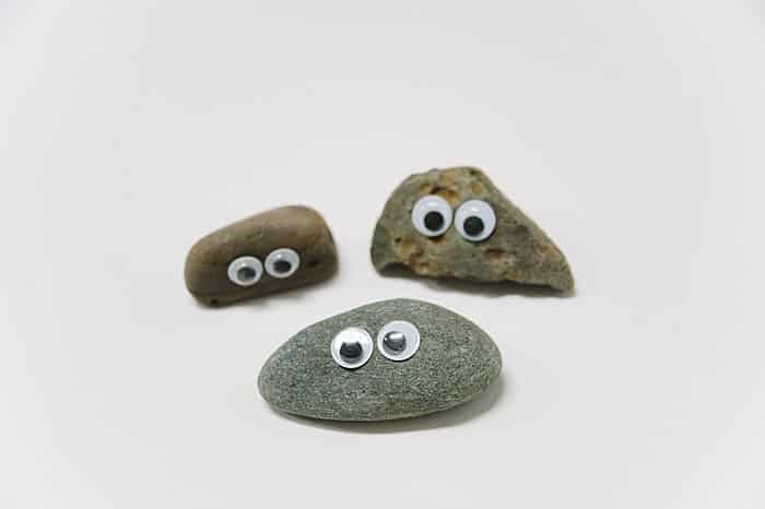 give your kids a pet with a pet rock