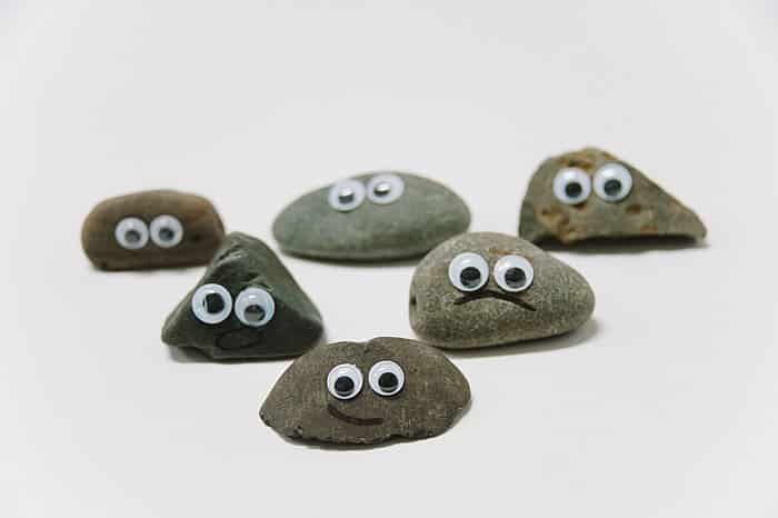 pet rocks diy for kids