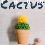 How to make DIY faux cactus plants out of yarn pom poms.