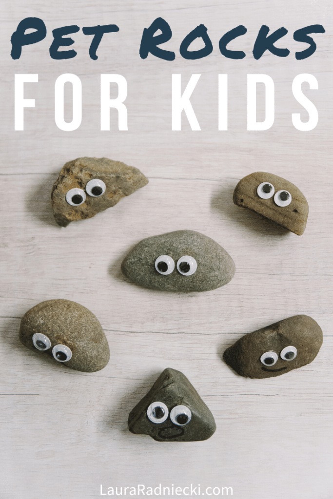 How to Make Pet Rocks for Kids Easy DIY Kids Crafts