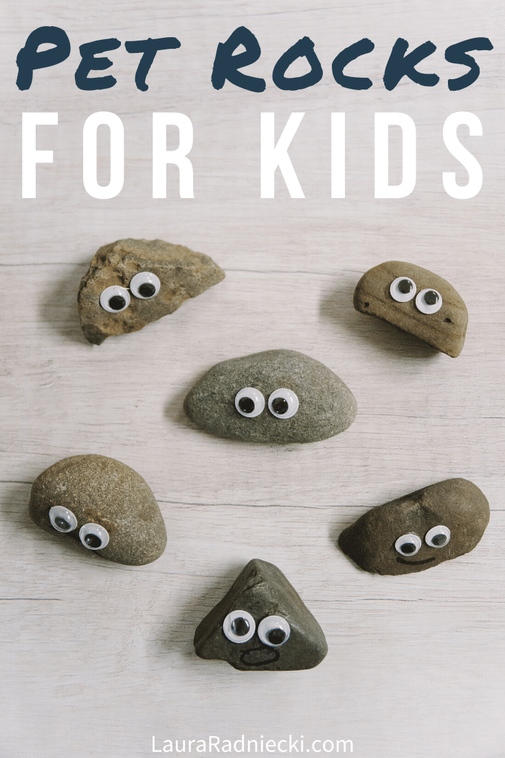 How to Make Pet Rocks for Kids | Easy DIY Kids Crafts