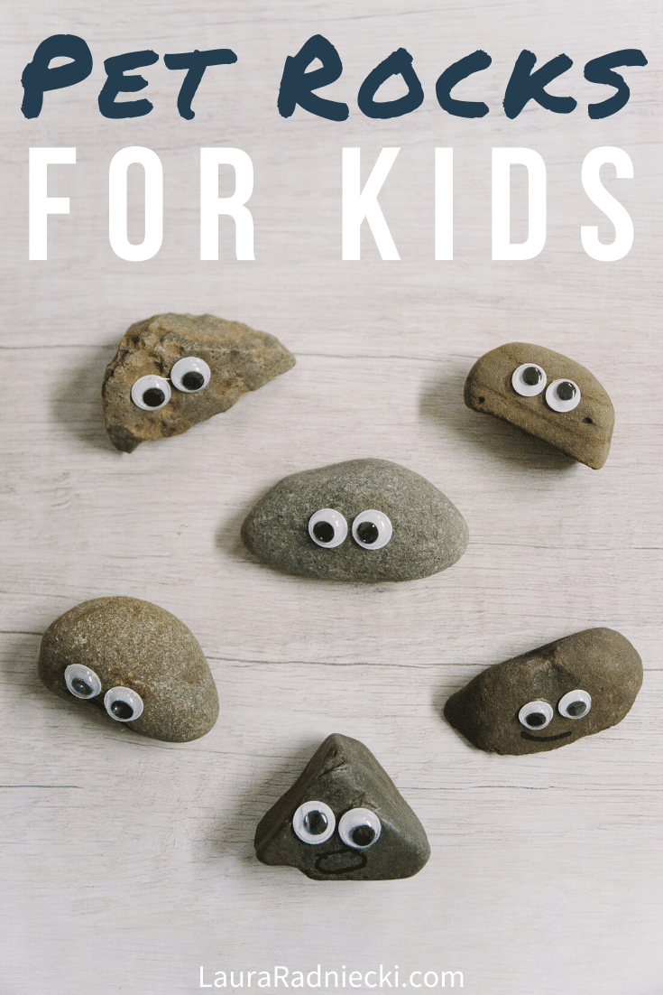 Make Adorable Pet Rocks - Easy Kids Craft! - My Bright Ideas