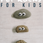 How to Make Pet Rocks for Kids _ Easy DIY Kids Crafts