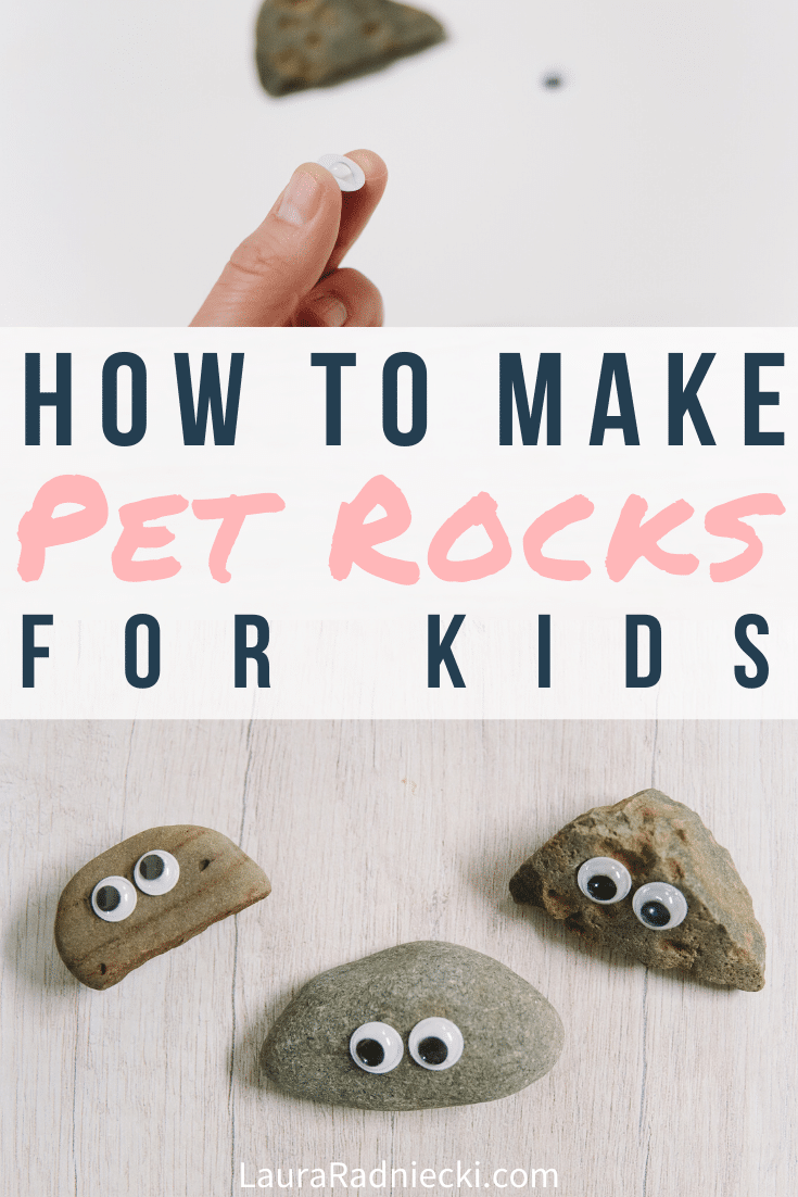 How to Make Pet Rocks for Kids | Easy DIY Kids Crafts