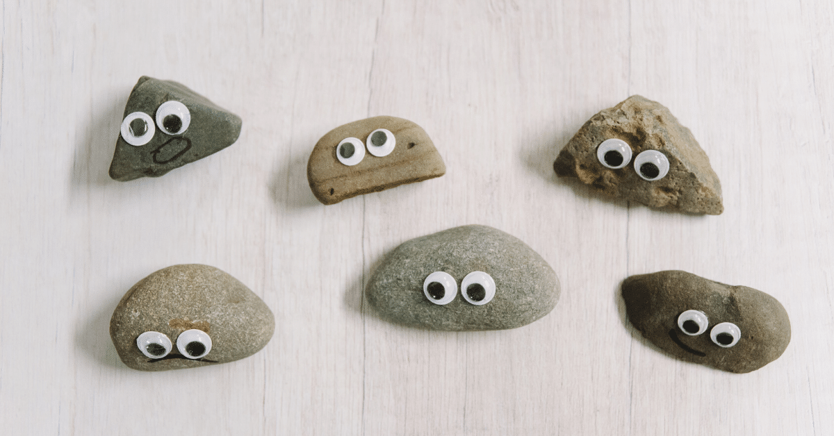 How to Make Pet Rocks for Kids