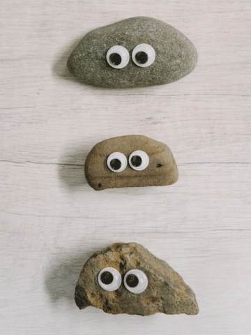 How to Make Pet Rocks for Kids _ Easy DIY Kids Crafts