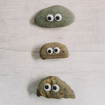 How to Make Pet Rocks for Kids | Easy DIY Kids Crafts