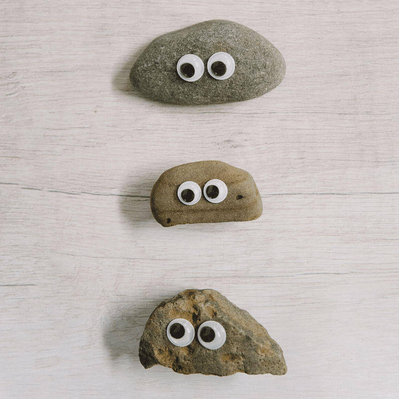 Make Your Own Pet Rock - Super Simple