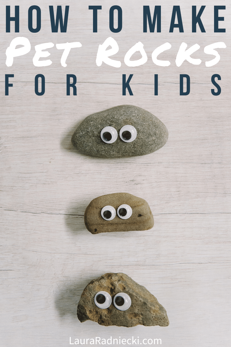 How to Make Pet Rocks for Kids | Easy DIY Kids Crafts