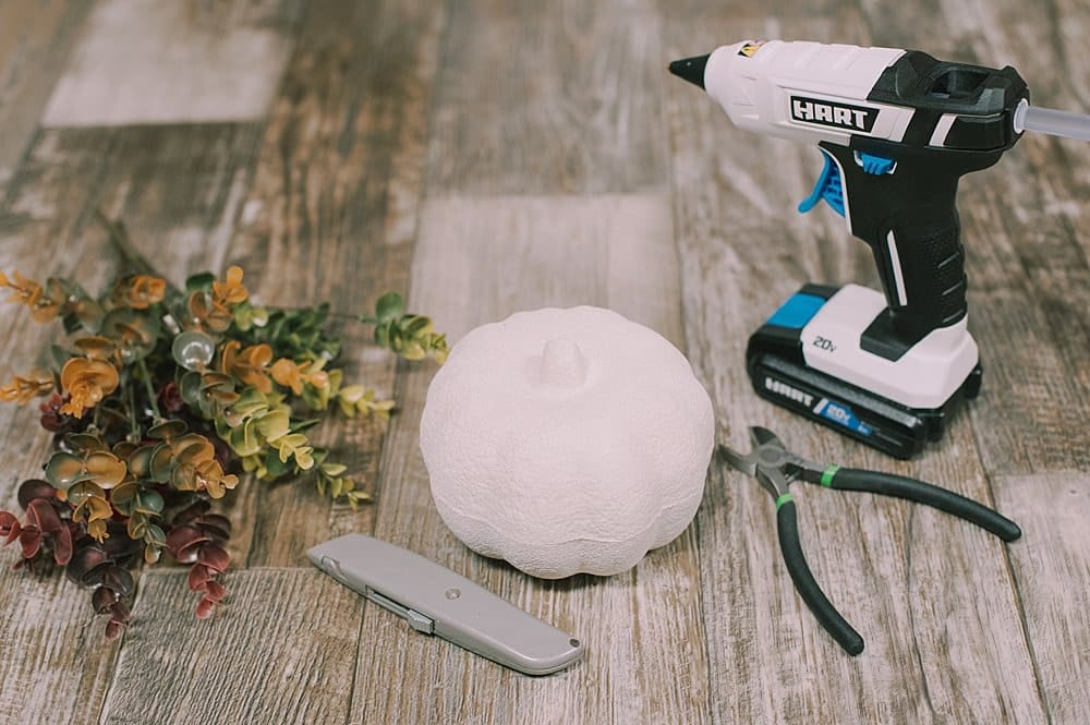 supplies for eucalyptus pumpkin