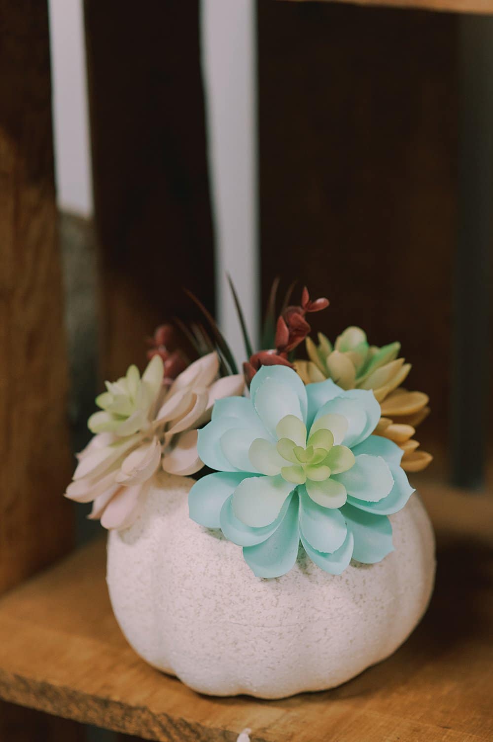 beautiful fall decoration with faux succulents and faux pumpkins