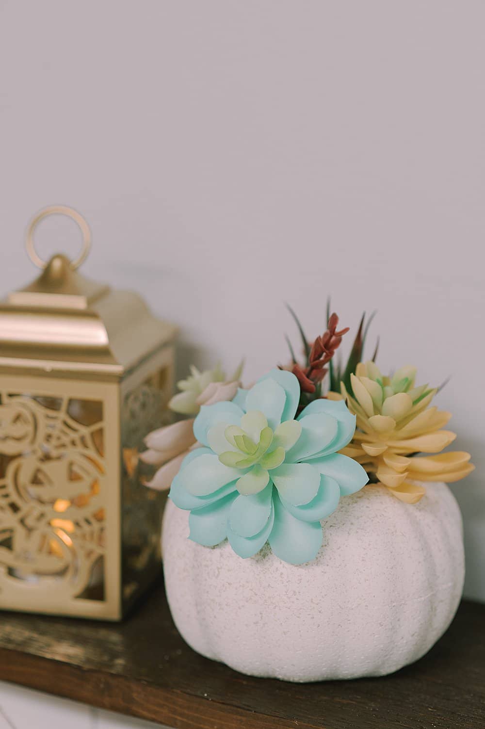 styrofoam pumpkin filled with plastic succulents