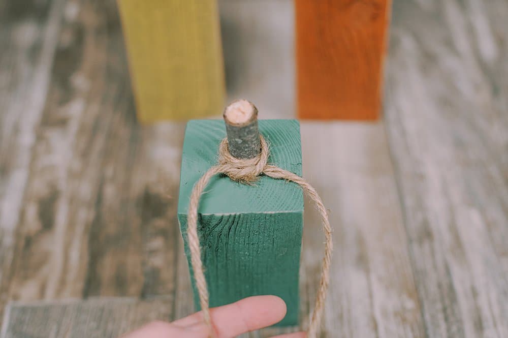 twine tied around the wooden stem