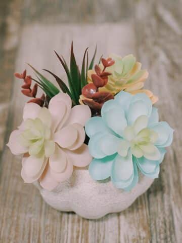 how to make a faux succulent pumpkin using styrofoam pumpkins from the dollar Tree