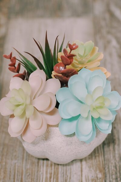 how to make a faux succulent pumpkin using styrofoam pumpkins from the dollar Tree