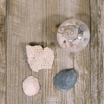 How to Make an Ocean Christmas Ornament