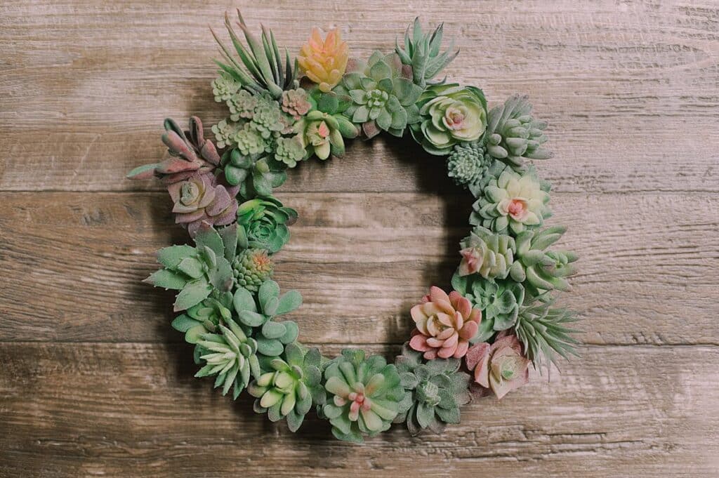 How to Make a Succulent Wreath with Faux Succulent Plants