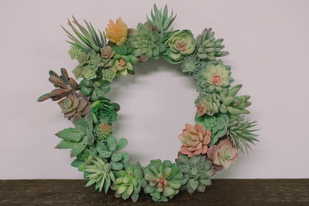 How to Make a Succulent Wreath with Faux Succulent Plants