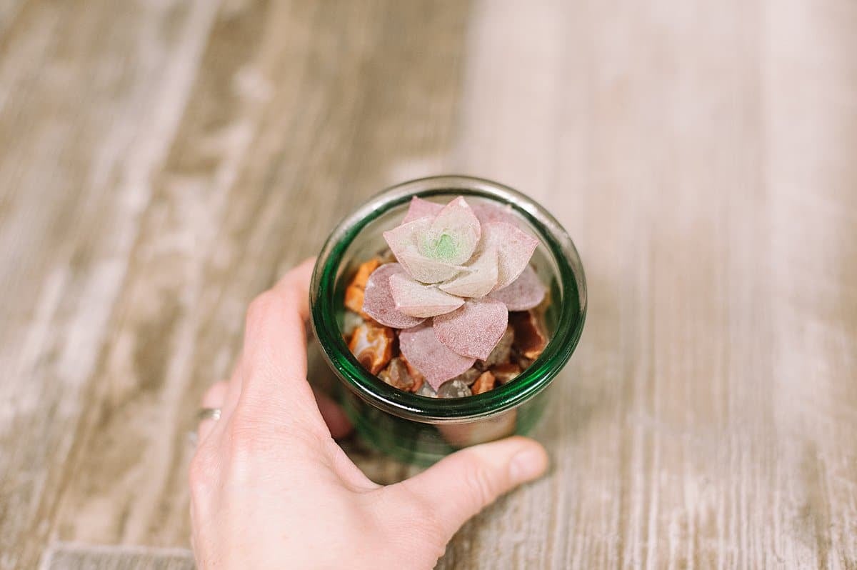 add faux succulent to jar filled with small agates or pebbles or rocks