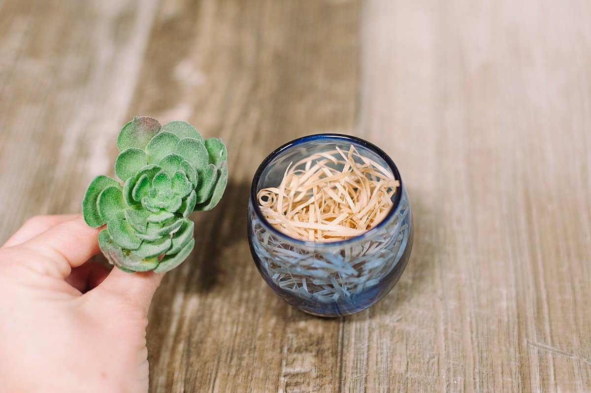 use shredded straw or raffia as a filler for a faux succulent container