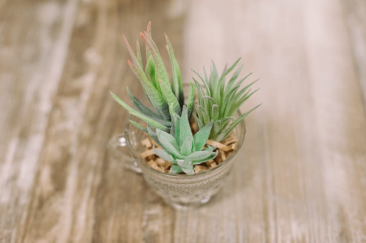 add multiple faux succulents to one container to add interest and make the DIY succulent planter look more realistic