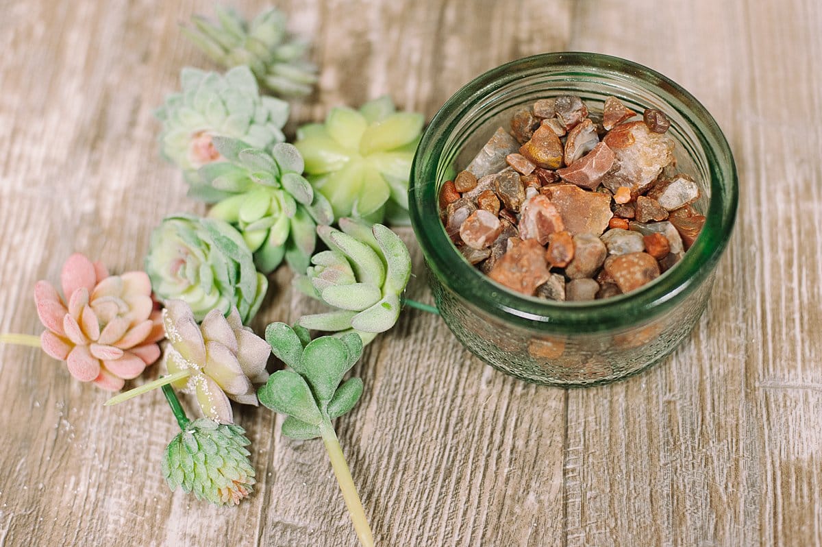 Add multiple faux succulents to a bowl or dish to create a beautiful centerpiece