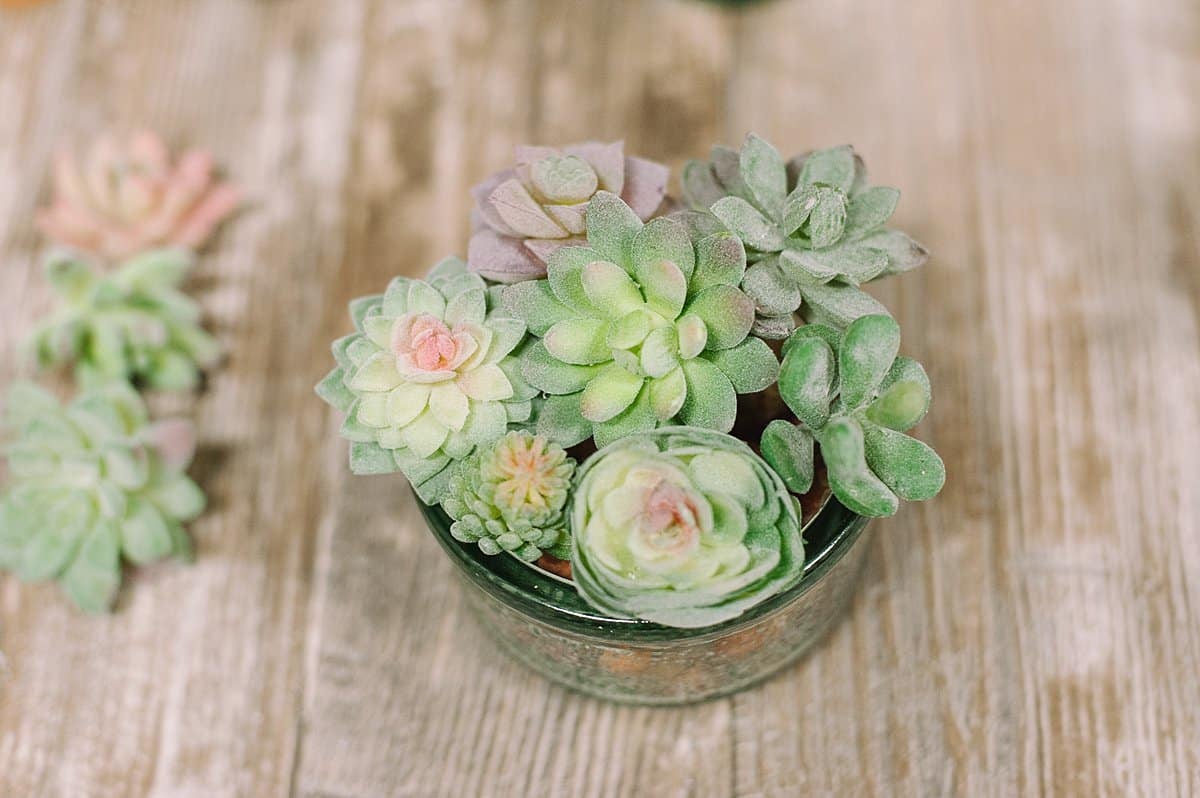 Add multiple faux succulents to a bowl or dish to create a beautiful centerpiece