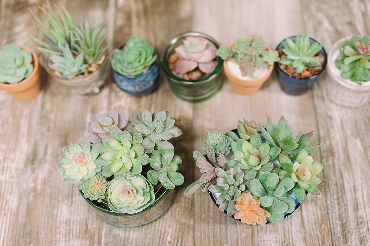 How to make a faux succulent planter using fake plants