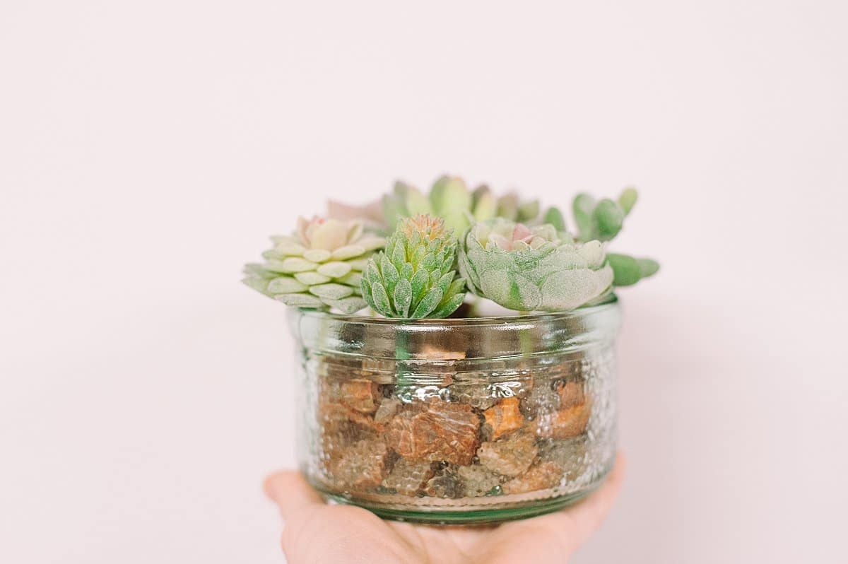 how to make fake succulents
